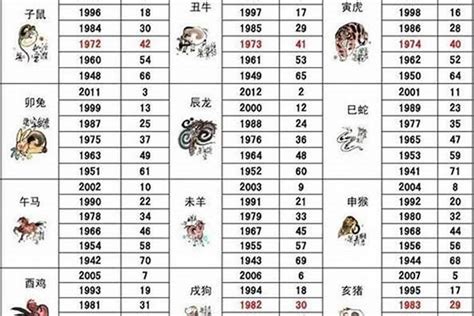 71年生肖|1971年属什么生肖 1971年属相是什么